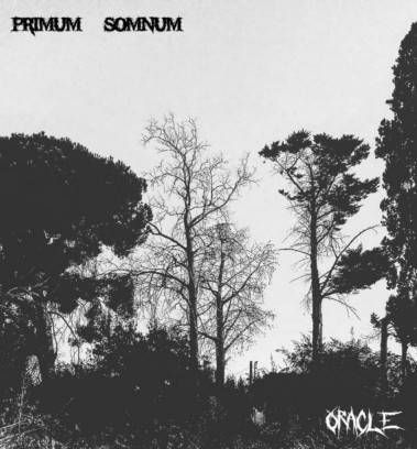 Primum Somnum